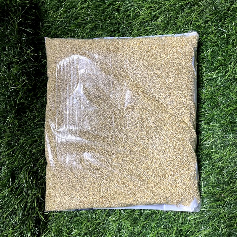 Hari kangani (Foxtail) Millet Natural Grains 500 gram