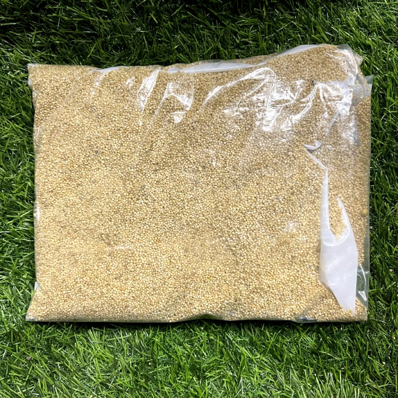 Rava Millet (Little Millet or Samai) Natural Grains 500 gram